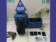 Quatro menores são apreendidos em boca de fumo com uma planta de maconha