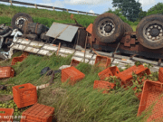 Motorista perde controle do caminhão e morre na MS 306