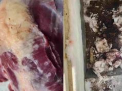 Dono de açougue é preso vendendo 1,2 tonelada de carne clandestina em Camapuã