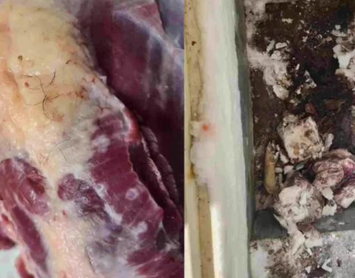 Dono de açougue é preso vendendo 1,2 tonelada de carne clandestina em Camapuã