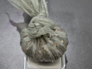 Mulher é presa por portar drogas em Costa Rica