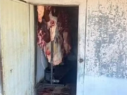 Suspeitos de abate clandestino de animais são presos com quase 3 toneladas de carne para venda ilegal em Paranaíba