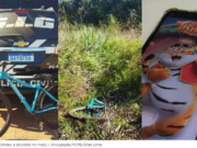 Mulher inventa estupro e sequestro após perder dinheiro no ‘jogo do tigrinho’ em MS