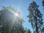 Tempo seco e temperatura em queda nesta quarta-feira (31)