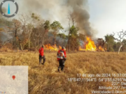 Incêndio em Alcinópolis mata animais e destrói mais de 700 hectares de pastagens