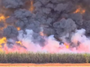 Incêndios assolam a região norte de MS e previsão do Cemaden/MCTI é de continuidade da seca