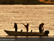 Proibição da Pesca em Mato Grosso do Sul começa em novembro e vai até fevereiro de 2025