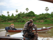 Piracema: começa período de pesca proibida em MS, e estoques de pescados devem ser informados