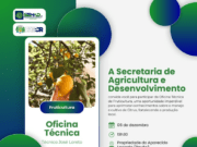 Costa Rica realiza Oficina Técnica de Fruticultura focada no cultivo de limão nesta sexta-feira (6)