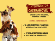 Castramóvel atende até quinta-feira (23) na ESF São Francisco em Costa Rica