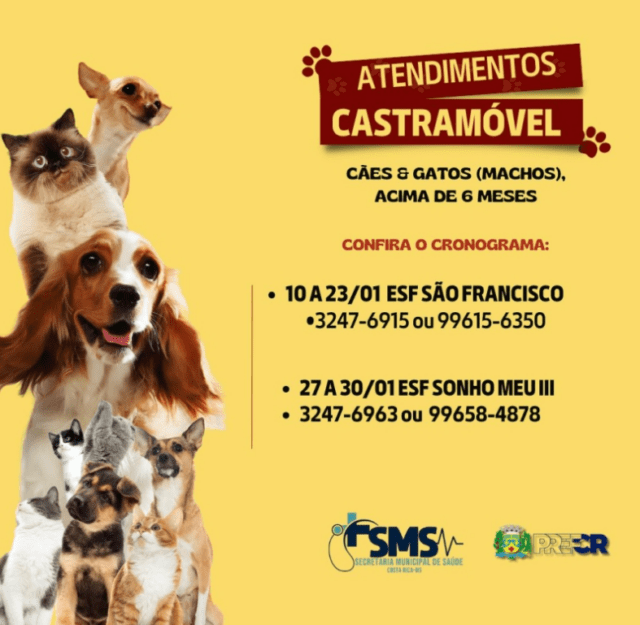 Captura de tela 2025-01-21 202216