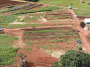 Cinturão Verde: Um programa inovador que transformou a agricultura familiar em Costa Rica