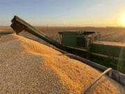 Com previsão de crescer 4,4%, MS deve ter maior alta em PIB do País