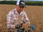 Chuvas de granizo causam prejuízo de R$ 5,5 milhões em lavouras de Rio Verde GO