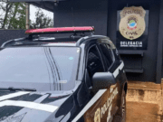 Devorado por animais, corpo de mulher é encontrado em estrada de MS