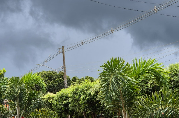 Captura de tela 2025-02-24 102843