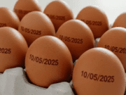 Governo revoga exigência de carimbo com validade em cascas de ovos