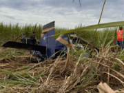 Piloto morre em queda de avião agrícola que seria de empresa de Chapadão do Sul