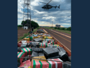 PRF faz maior apreensão de maconha em rodovias federais este ano