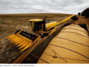 Com impacto no bolso do produtor, crise climática agora é risco à safra do milho em MS