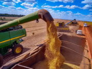 Produção de soja em MS deve superar safra passada em 18%