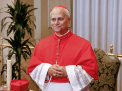 Conheça Robert Francis Prevost, o Leão XIV o novo papa