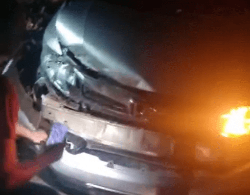 Paraisense colide com anta na BR-060 próximo a Camapuã