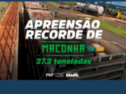 Recorde histórico: PRF/MS apreende maior carga de maconha do ano no país