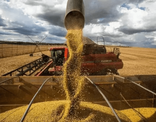 Desempenho agrícola da Soja em Mato Grosso do Sul: Costa Rica se destaca apesar da estiagem