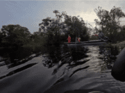 Peão de 17 anos morre afogado durante travessia de gado em rio de MS