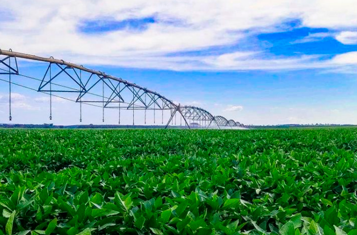 Irrigação impulsiona agricultura sustentável e coloca MS entre líderes na produção de grãos