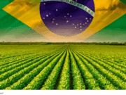 Governo anuncia Plano Safra 25/26 em 30 de junho e primeiro de julho