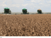 Setor produtivo vê “fôlego” em projeto de lei para negociação de dívidas