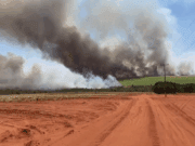 Incêndio rural mobiliza Corpo de Bombeiros de Chapadão do Sul