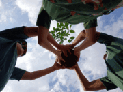 Costa Rica celebra Dia da Árvore com Educação Ambiental e Ações de Plantio