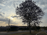 Previsão do Tempo para Costa Rica nesta segunda-feira (29)