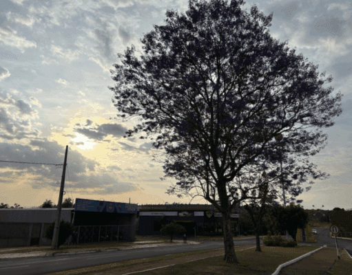 Previsão do Tempo para Costa Rica nesta segunda-feira (29)