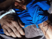 Onça-pintada fere gravemente peão no Pantanal do Paiaguás