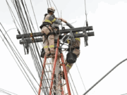 Câmara aprova projeto que garante ressarcimento a produtores rurais por perdas causadas por falta de energia