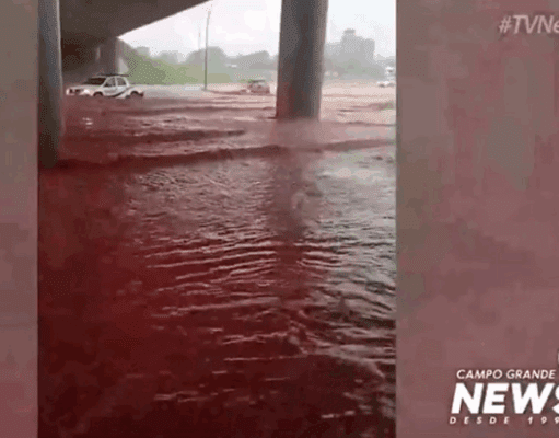 Ventos atingem 78 km/h, destelham casas, derrubam energia e água inunda avenidas de Campo Grande
