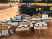 PRF apreende 629 Kg de cocaína em MS