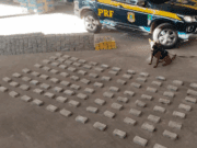 PRF apreende 386 kg de cocaína escondidos em carga de cimento
