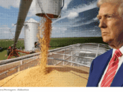 Trump assina decreto para remover tarifas de algumas importações agrícolas do Brasil