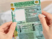 Com apoio de MS, Congresso vota por exigir exame toxicológico na 1ª CNH