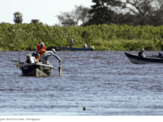 Modalidade pesque e solte é liberada nos rios Paraguai e Paraná
