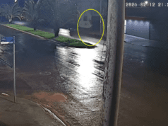 Câmera de segurança flagra homem agredindo brutalmente cachorro em Chapadão do Sul