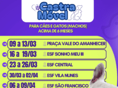 Castramóvel divulga escala de atendimentos para março e amplia ações de controle populacional de cães e gatos em Costa Rica