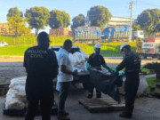 Polícia Civil de Chapadão do Céu – GO incinera 540 kg de agrotóxicos ilegais