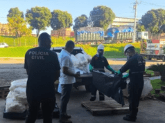 Polícia Civil de Chapadão do Céu – GO incinera 540 kg de agrotóxicos ilegais