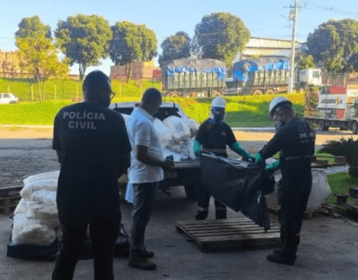 Polícia Civil de Chapadão do Céu – GO incinera 540 kg de agrotóxicos ilegais